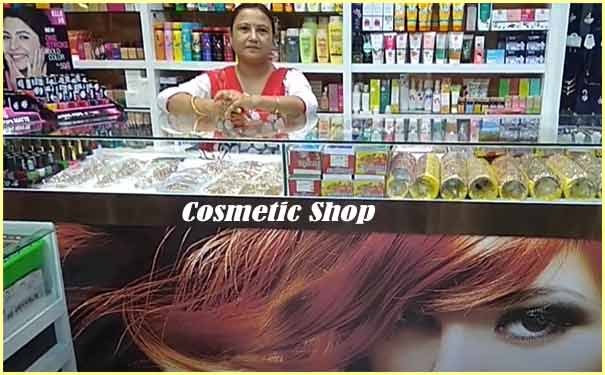 Cosmetic Shop business plan hindi