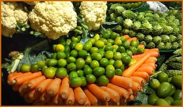 Vegetable Business plan in hindi