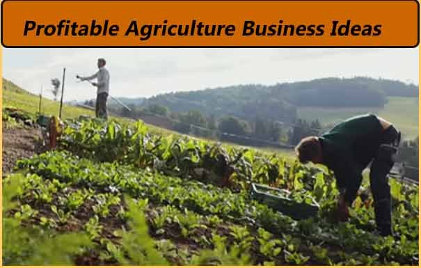 20 low and profitable agriculture business ideas hindi