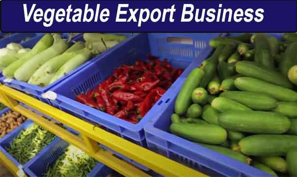 Vegetable export business in India